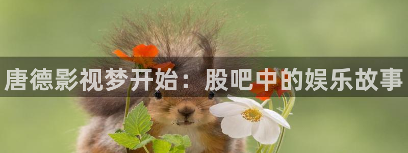 麥田影院下載：唐德影視夢開始：股吧中的娛樂故事