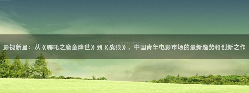 新匯嘉麥田影城購(gòu)票：影視新星：從《哪吒之魔童降世》到《戰(zhàn)狼》，中國(guó)青年電影市場(chǎng)的最新趨勢(shì)和創(chuàng)新之作