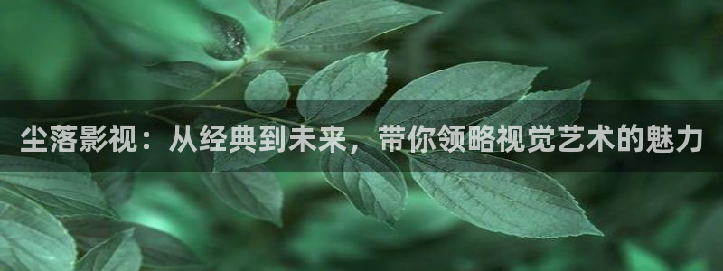麥田影視影樓：塵落影視：從經(jīng)典到未來(lái)，帶你領(lǐng)略視覺(jué)藝術(shù)的魅力